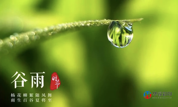 2022年4月20日谷雨